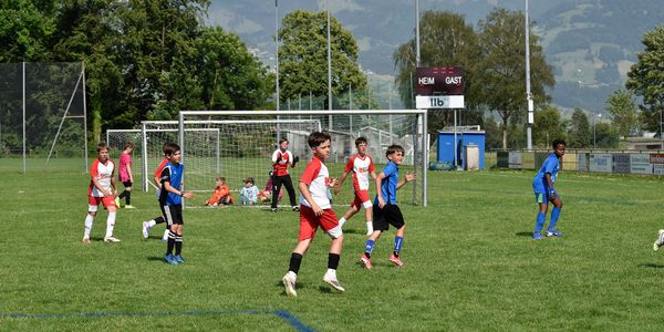 Erfolgreiche Nachwuchsarbeit beim FC Schmerikon