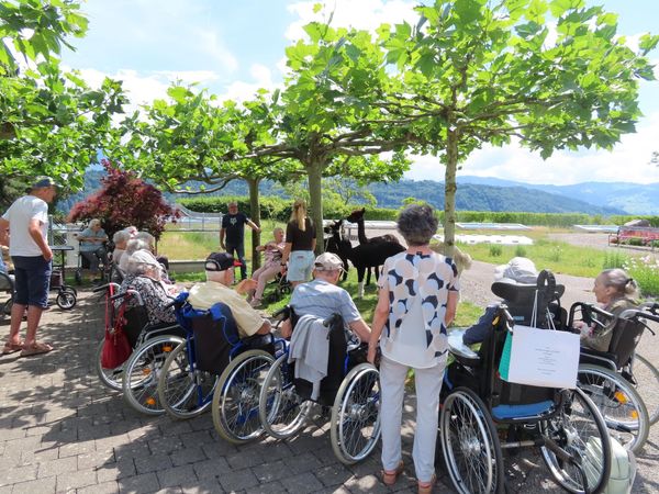 Tierischer Besuch in der Pension Obersee