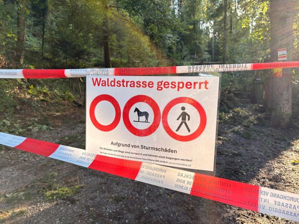 Sturmholz im Gebiet Döltsch – Sperrung von Waldstrassen und Wegen