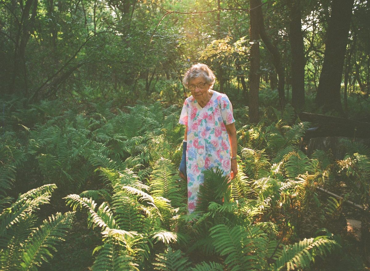 RECENSIE: Agatha's Almanac