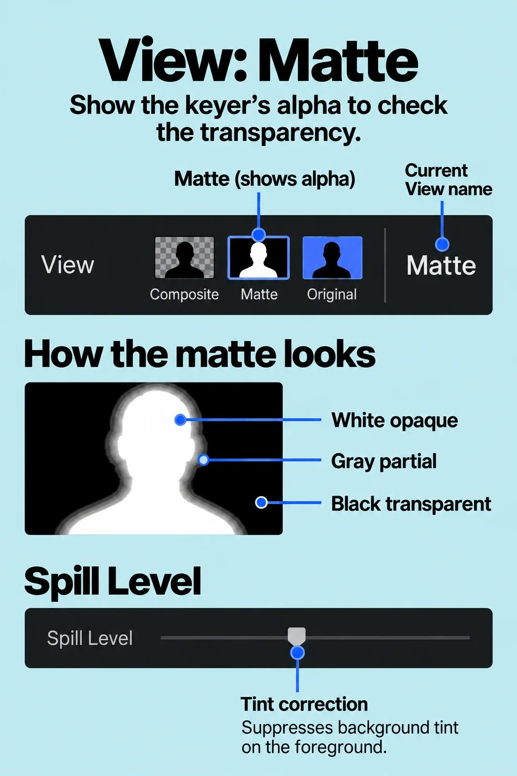 Matte selected in the center of the Green Screen Keyer View row, with white, black and gray opacity meanings.