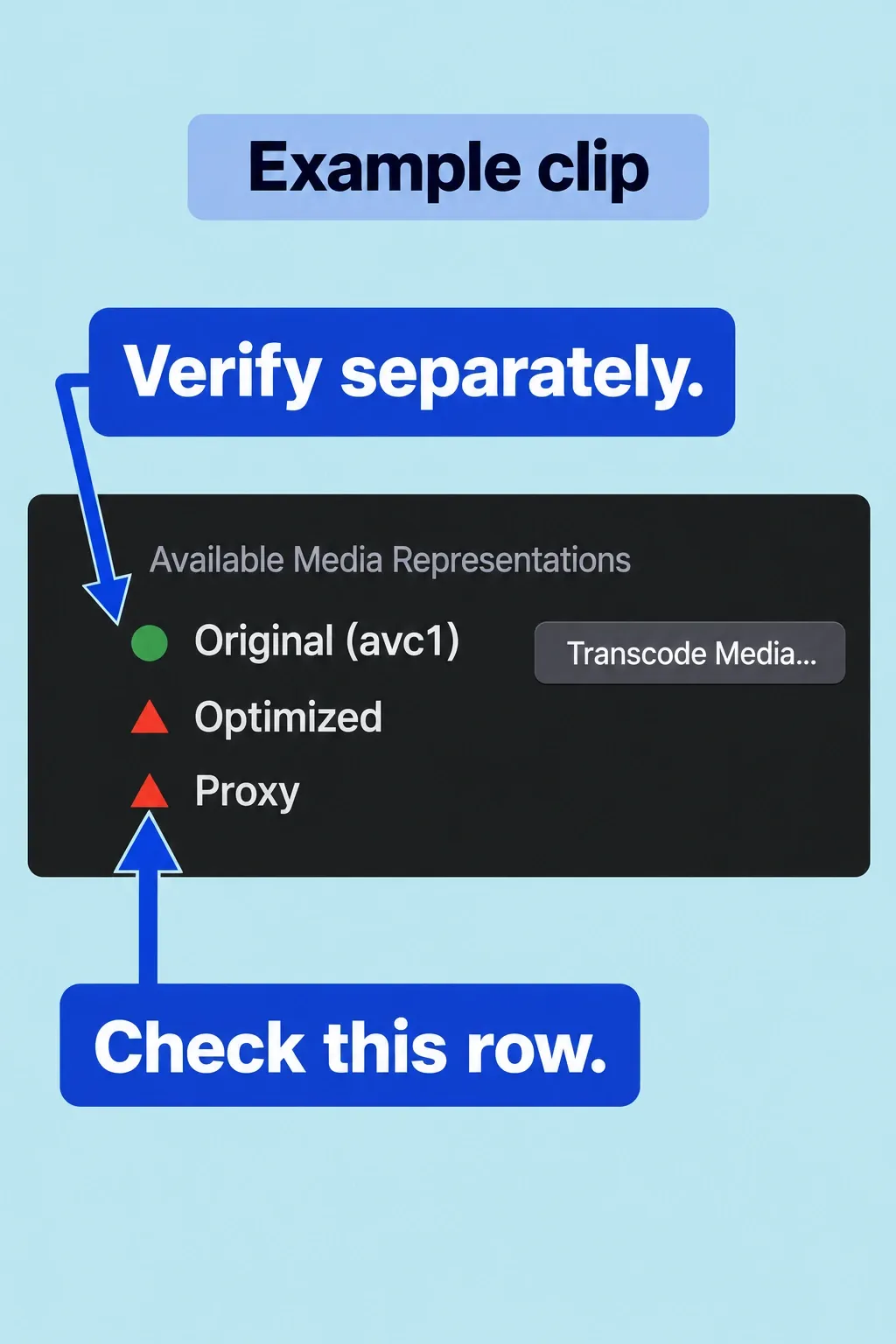 Example Info inspector shows original available while optimized and proxy representations have red warning triangles.