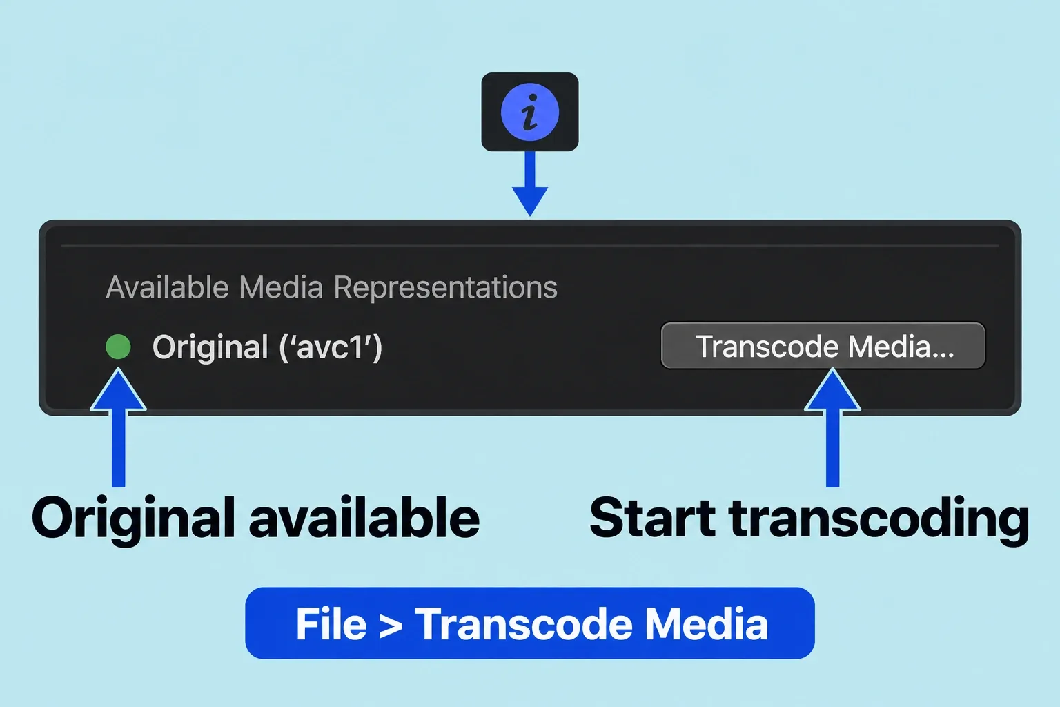 Info inspector Original availability indicator with Transcode Media to its right.
