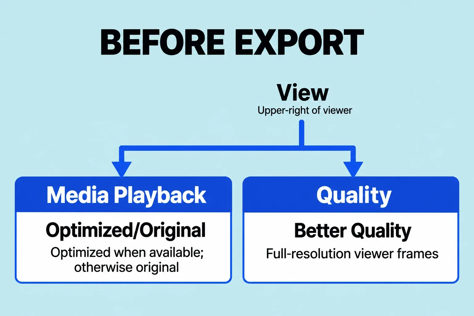 View settings before export: Media Playback to Optimized/Original and Quality to Better Quality.