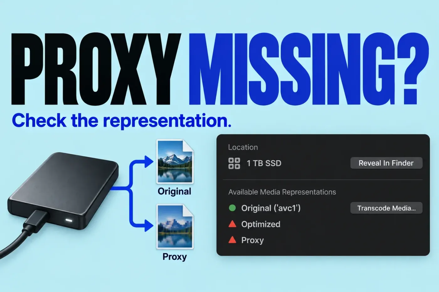 Original, Optimized and Proxy availability rows with a warning on Proxy and separate source-file paths.