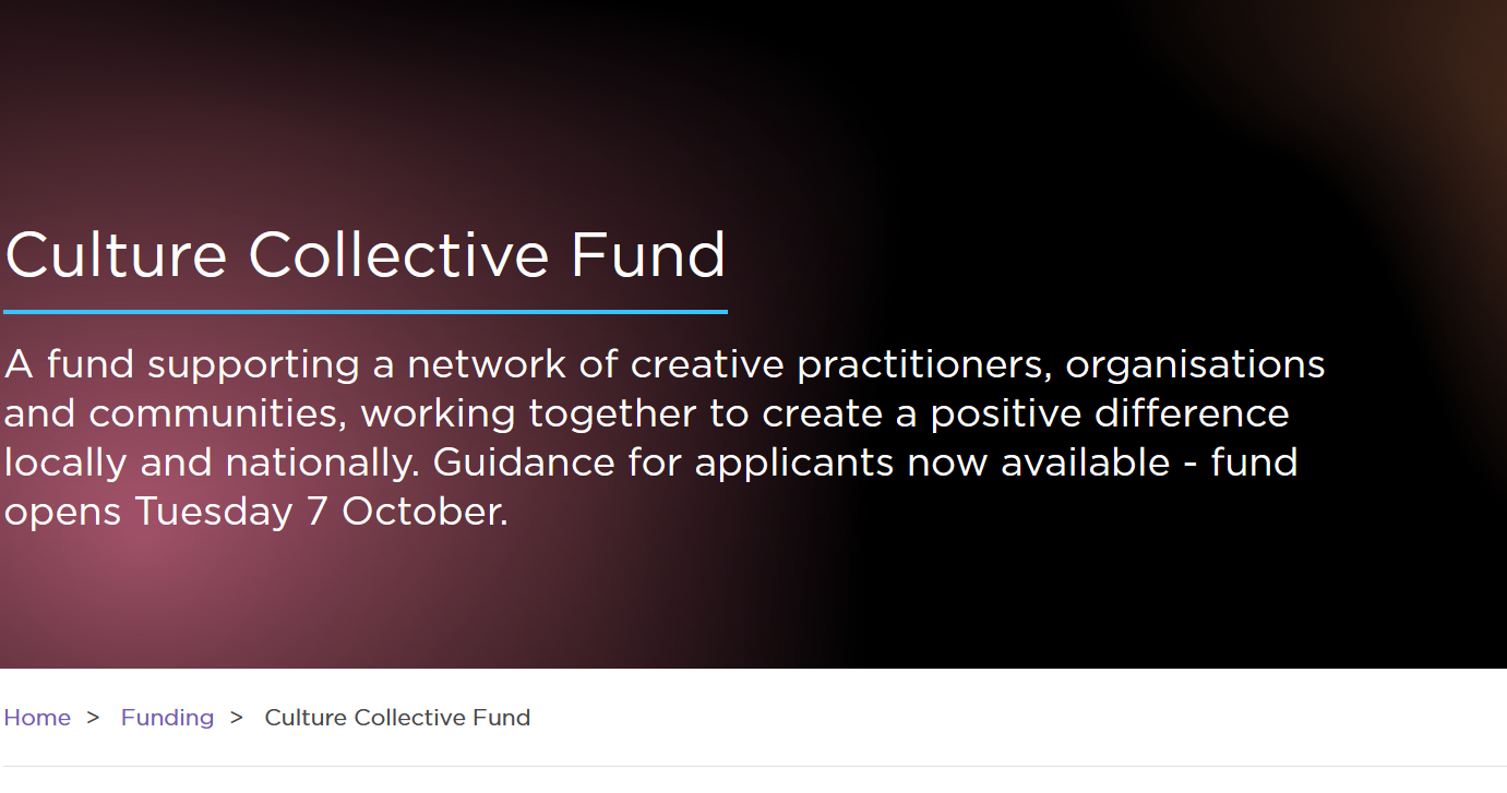 CS Culture Collective questions + funds feature image