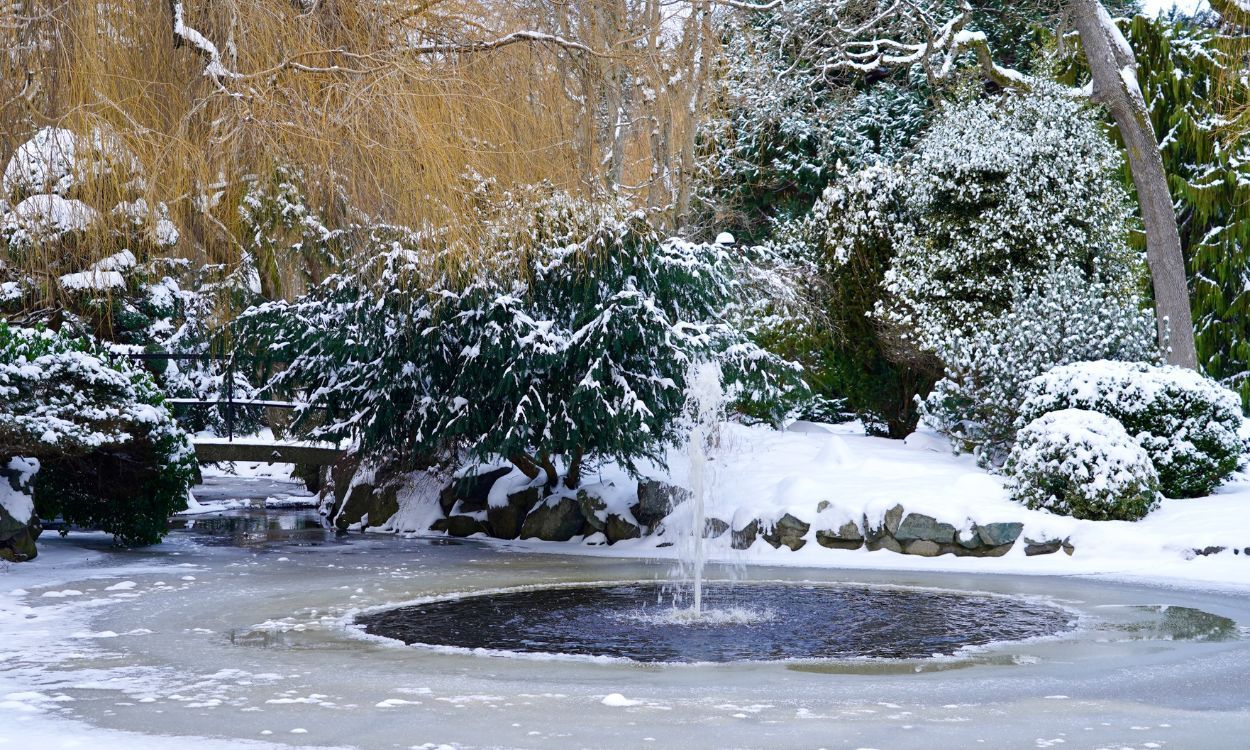 une fontaine gellée à paris pour prendre un bain froid