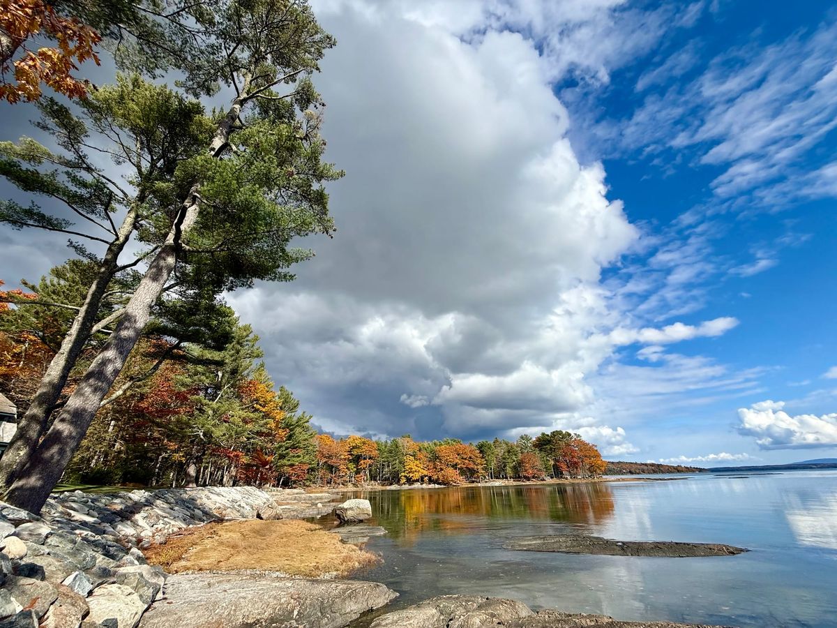 Some thoughts on negative feedback