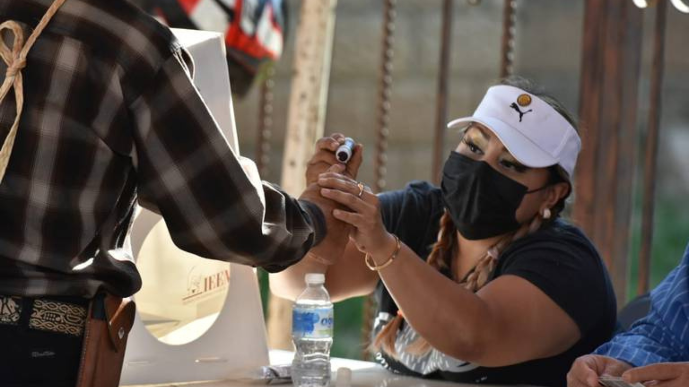 elecciones edomex delfina alejandra