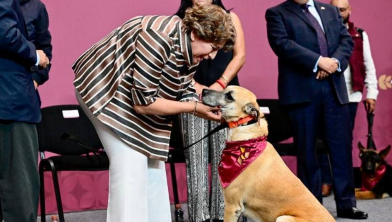 delfina animales edomex maltrato