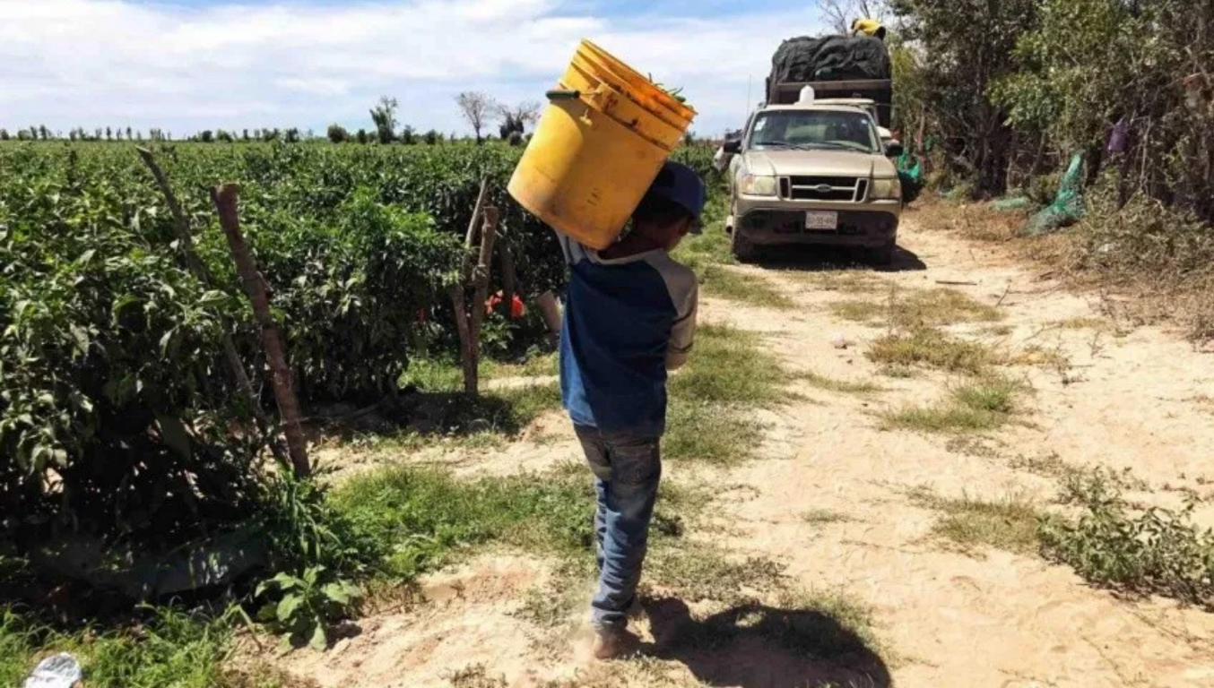 infantil trabajo niños edomex