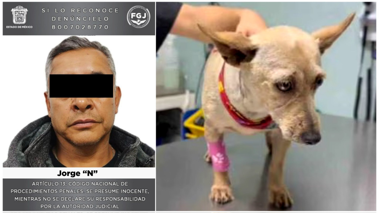 detienen a responsable de golpear a taquito