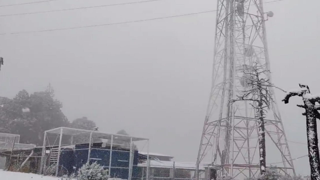 nieve edomex