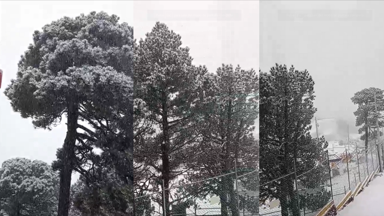 nieve edomex