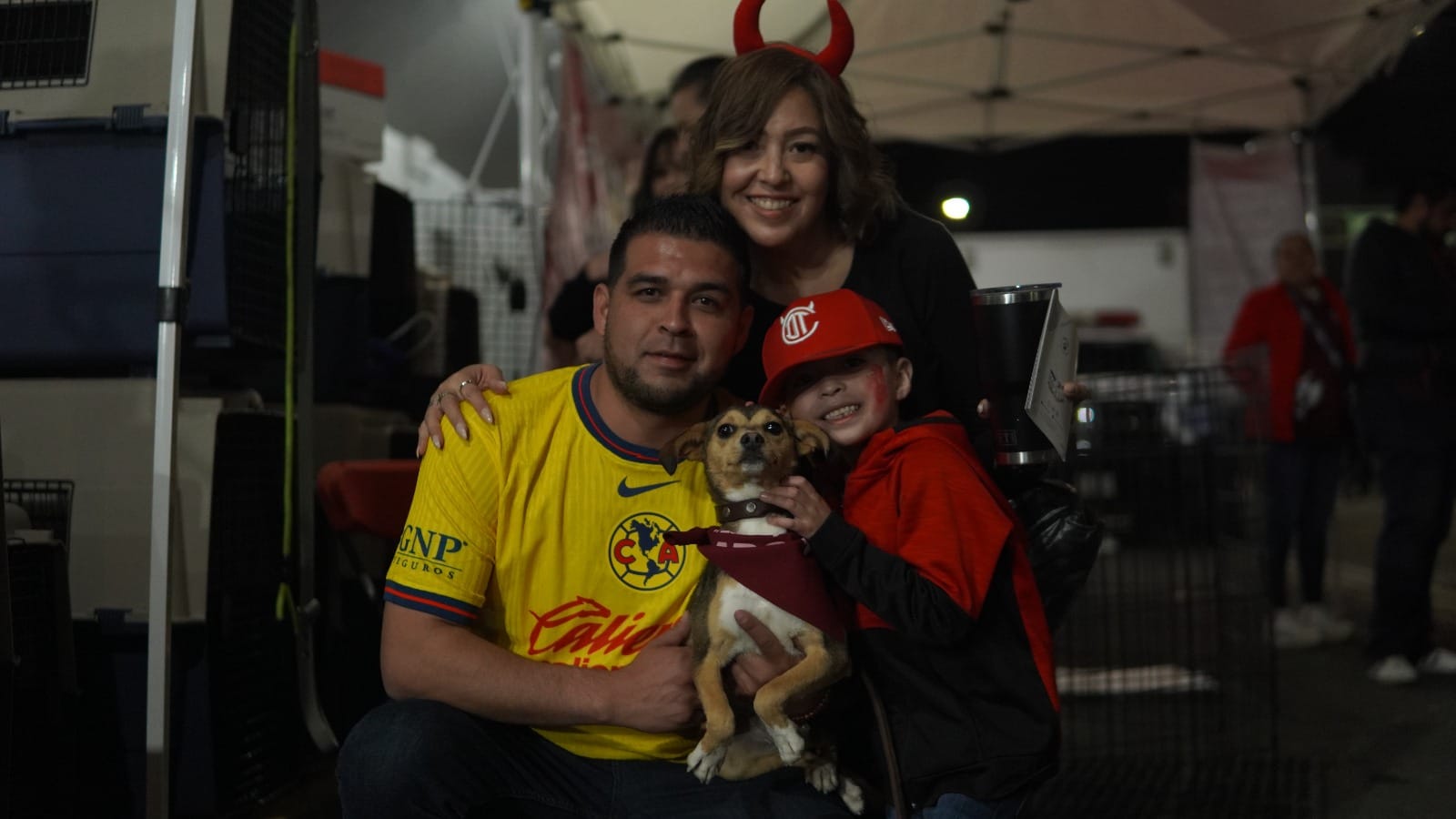 Perritos adoptados. 