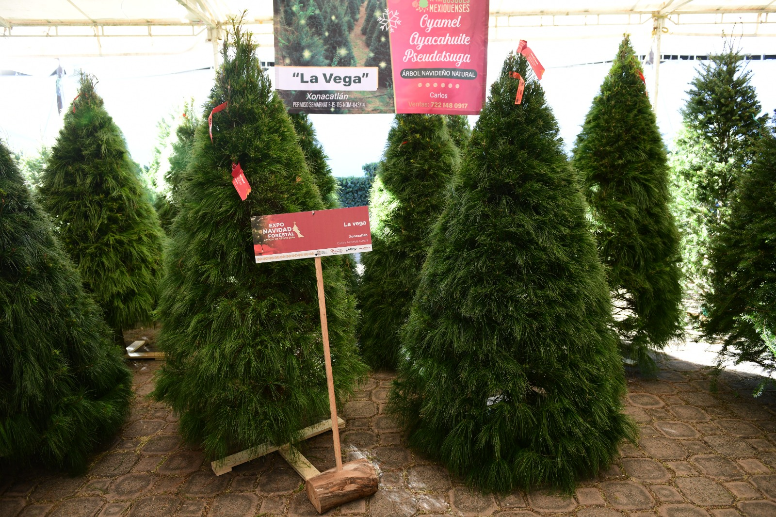 Expo Navidad Forestal EdoMex