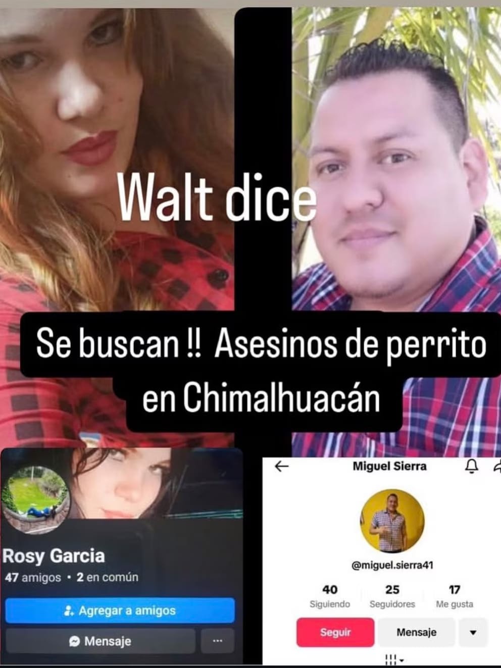 Presuntos responsables de maltrato a perrita en Chimalhuacán.