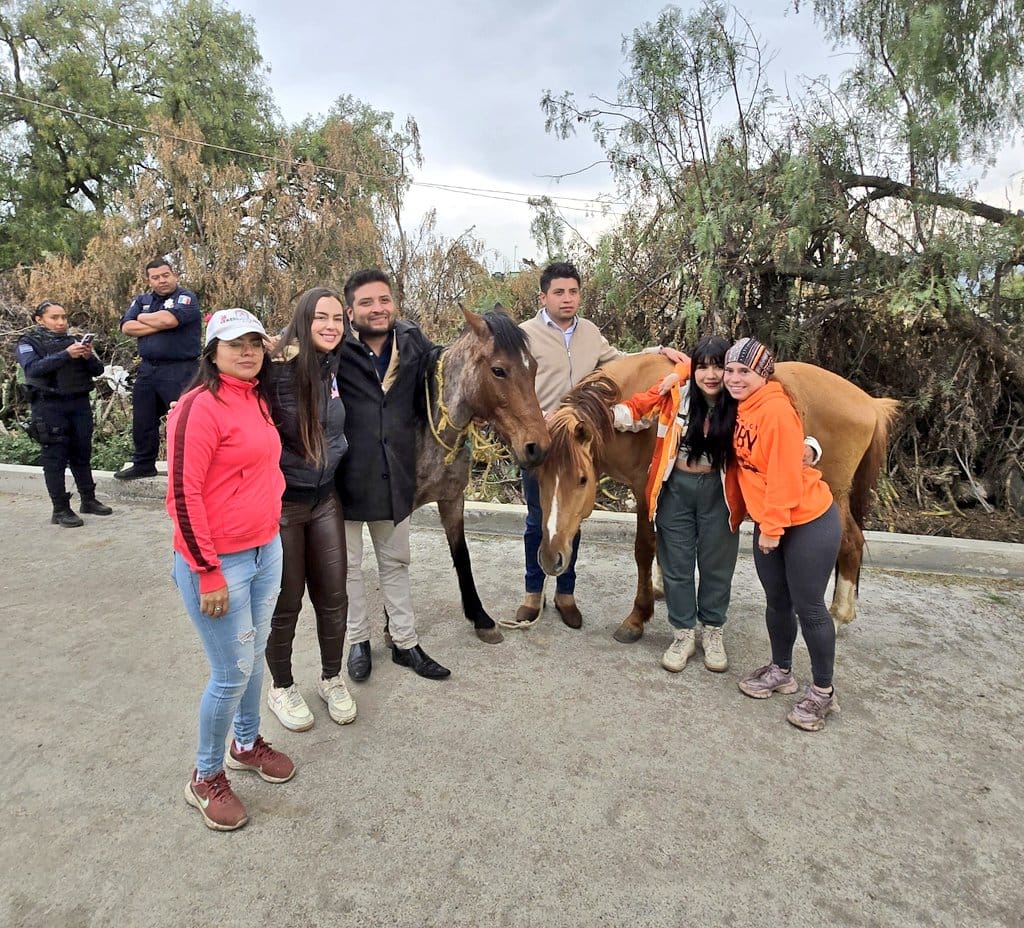 Encuentran a dos caballos robados de Burrolandia.