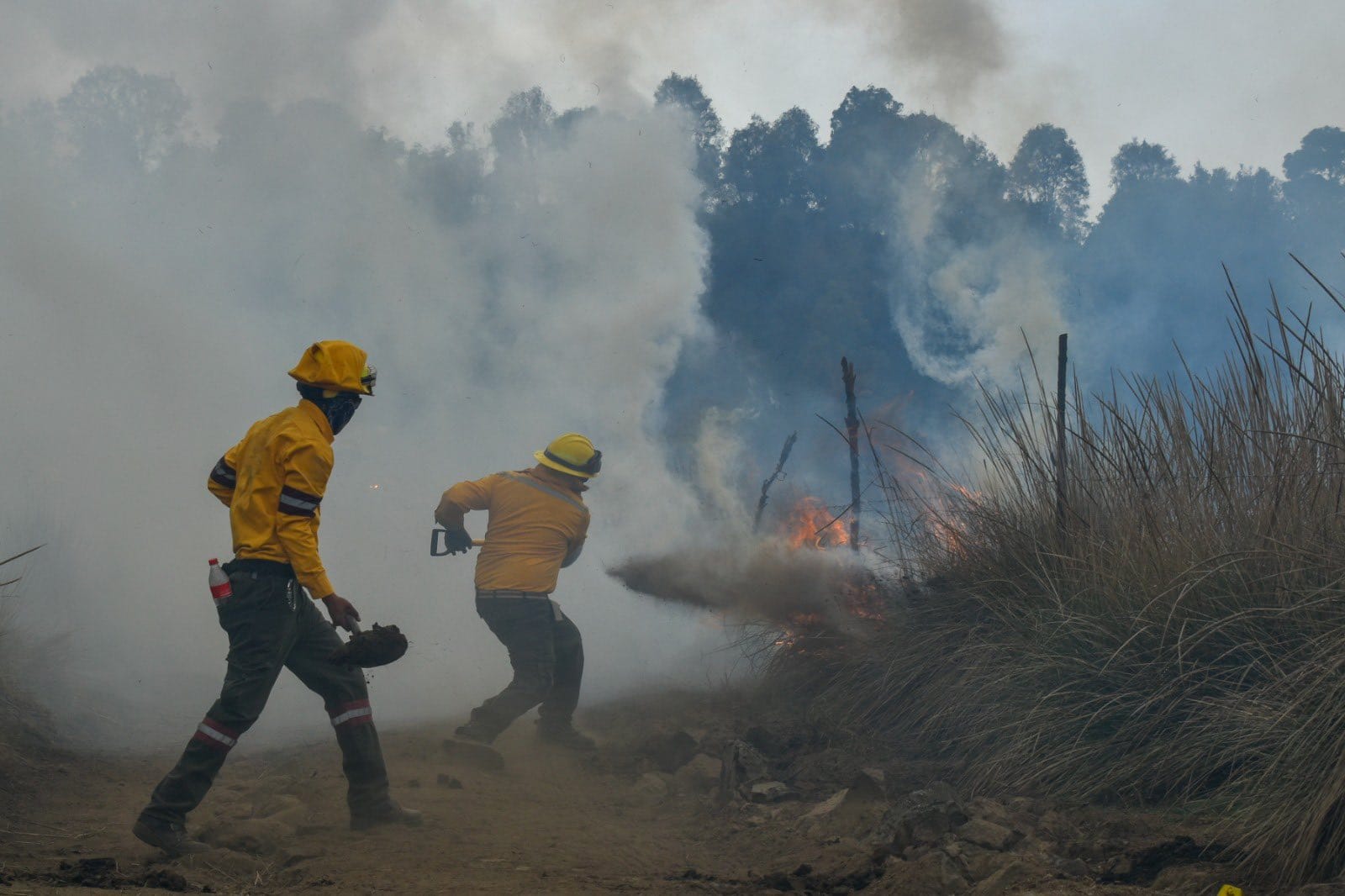Incendios forestales en el Edomex.