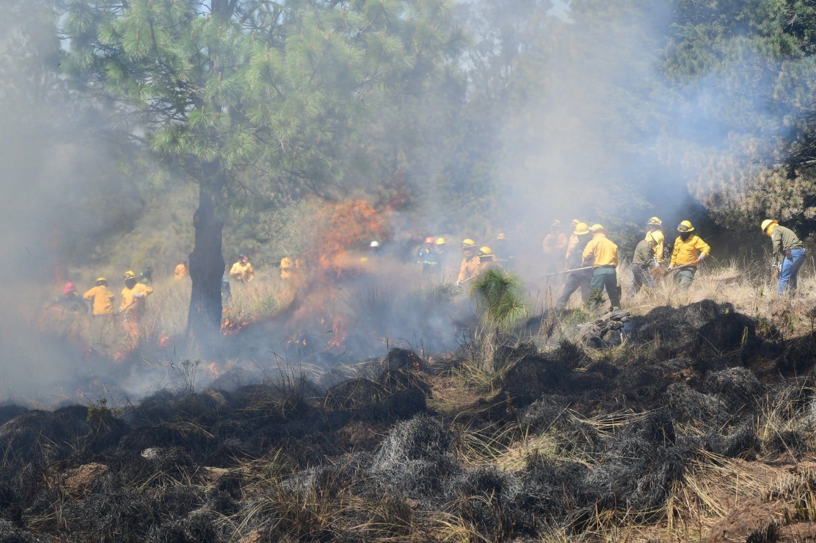 Incendios forestales en el Edomex.