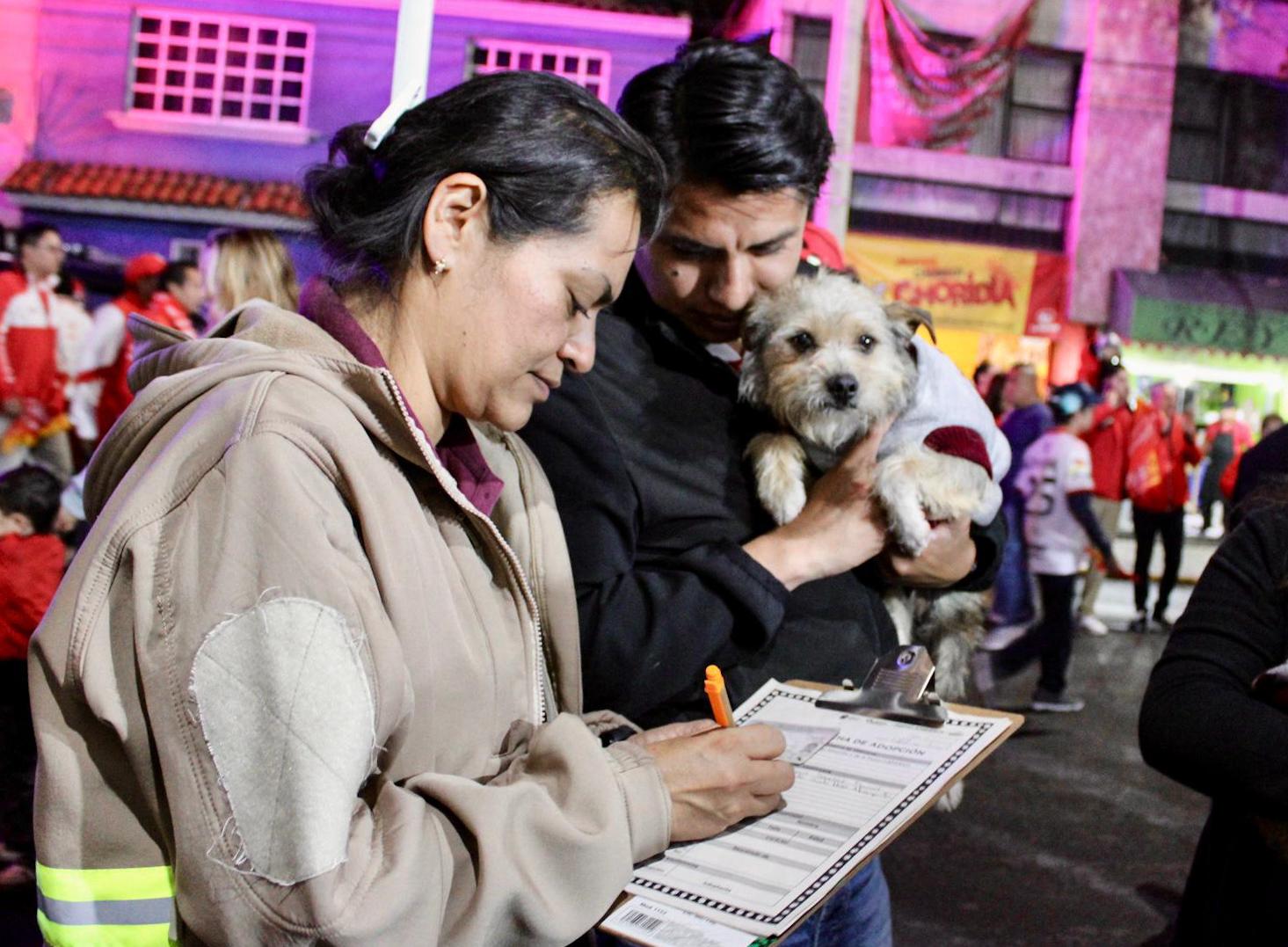 Adopción de perritos