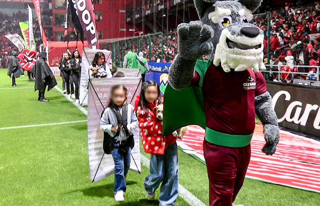 Adopción de perritos.