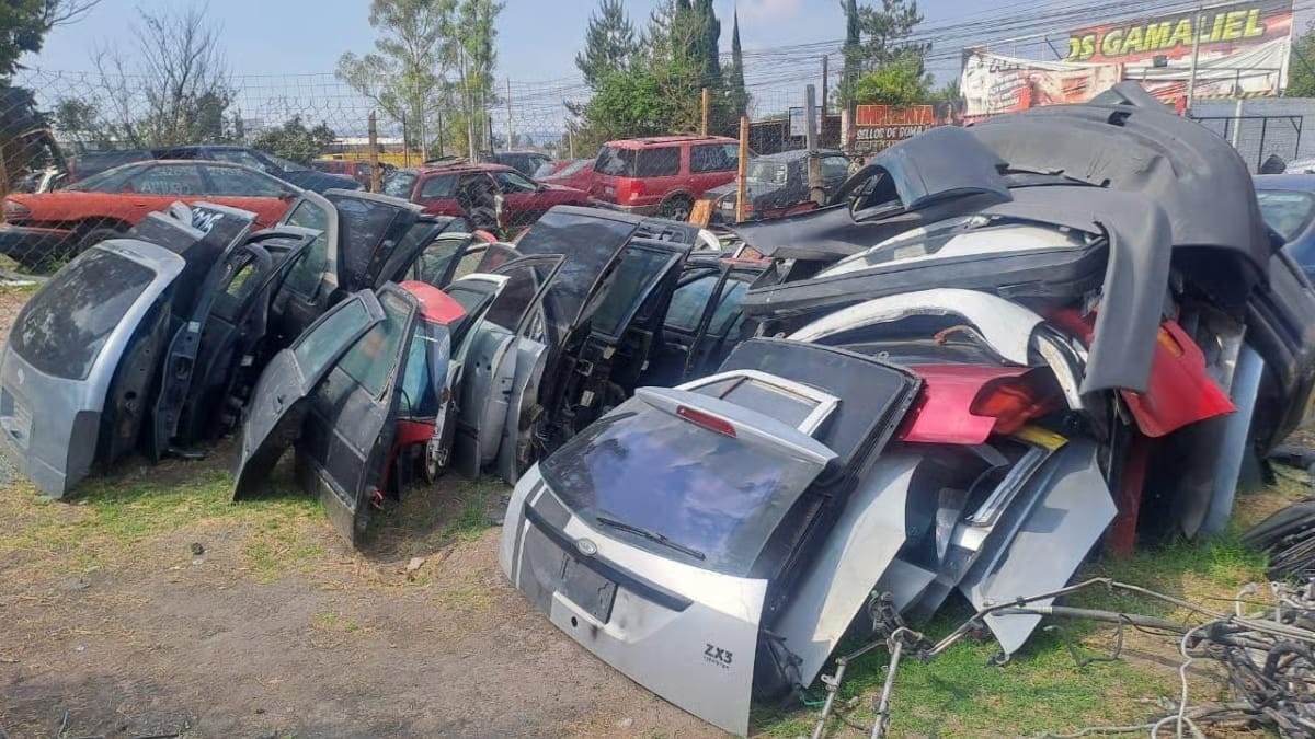 Operación Fortaleza