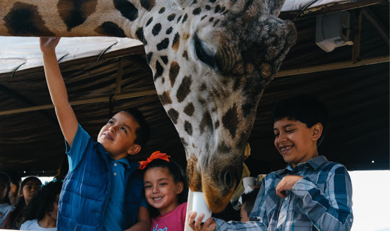 dia del niño estado de mexico