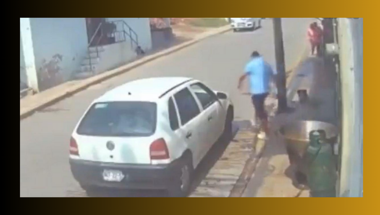 edomex perro lanzado cazo 