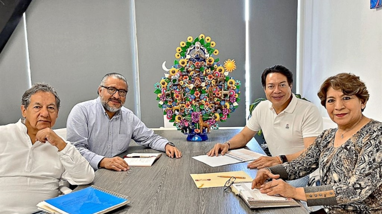 elecciones edomex delfina