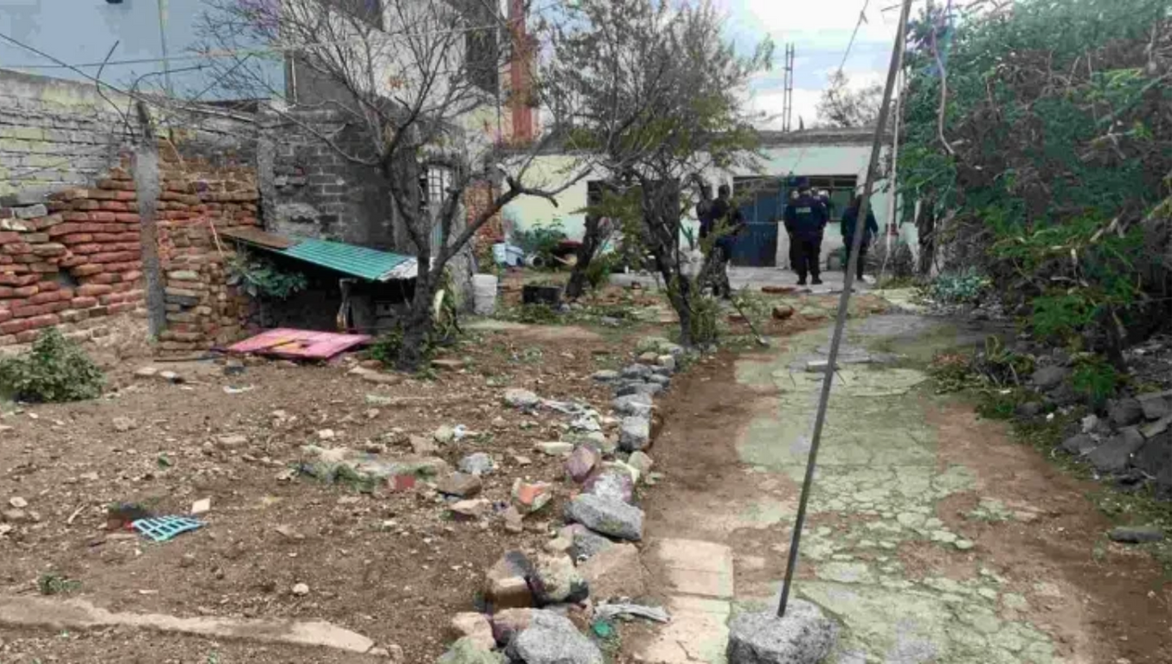 perritos predio rescate