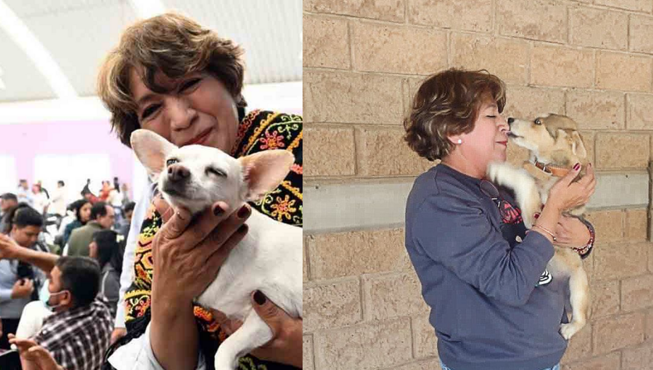 delfina animales edomex maltrato