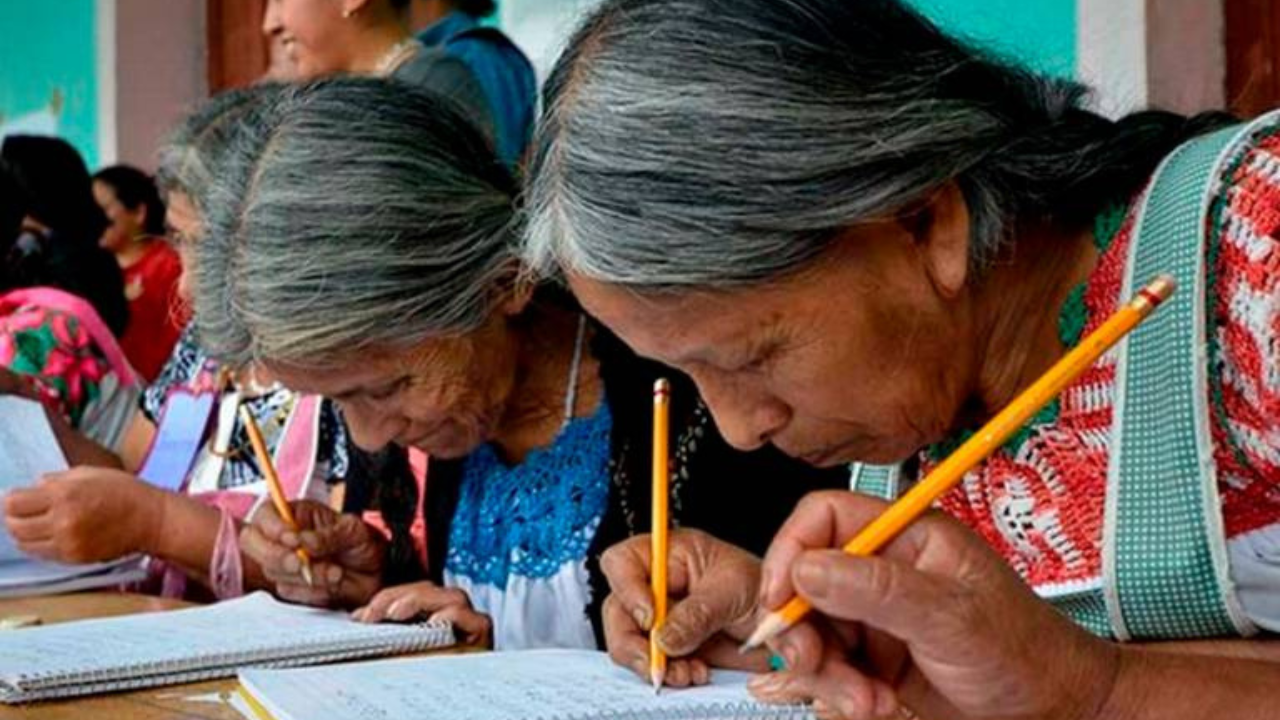 alfabetizacion edomex inea