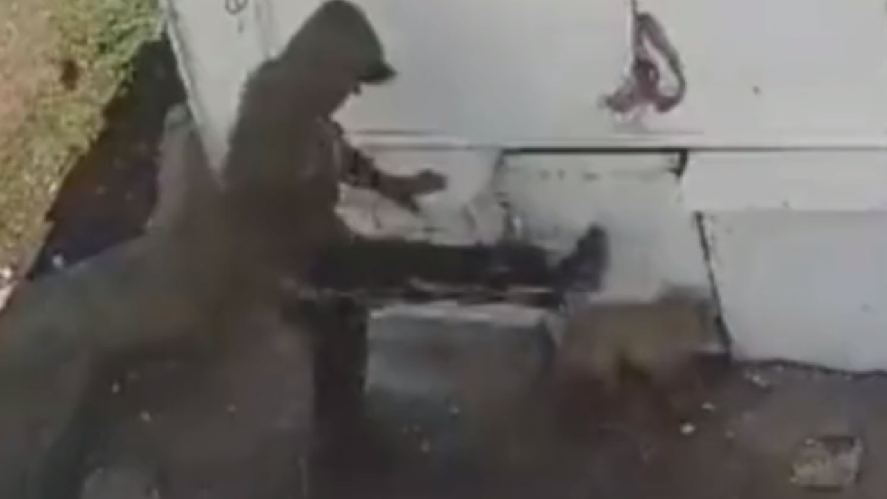 detienen a responsable de golpear a taquito