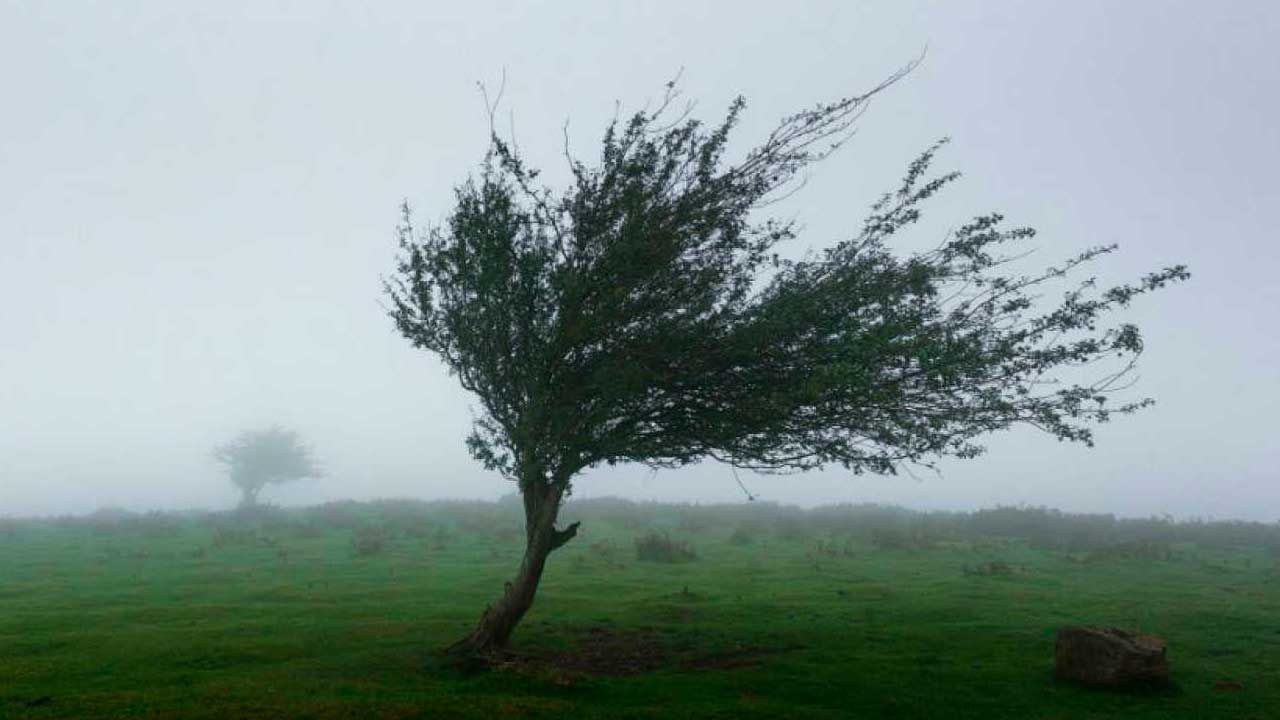 viento edomex calor lluvia 