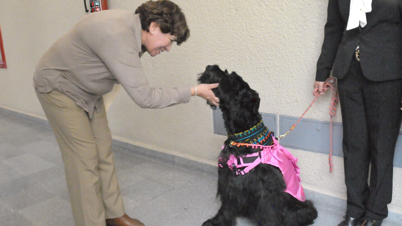 Delfina Gómez impulsará reformas en materia de protección animal