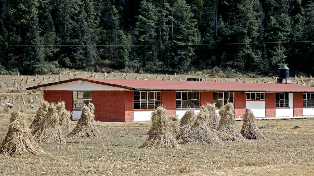 La Nueva Escuela Mexicana fortalece la educación agrícola: SECTEI