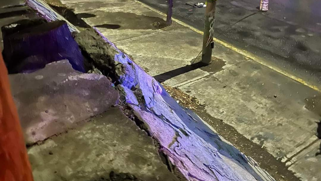 Niño fallece atropellado tras salir a buscar a su mamá