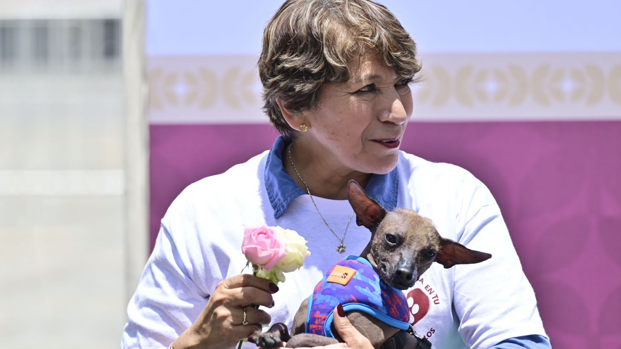 Encabeza Delfina Gómez caminata en favor del Bienestar Animal