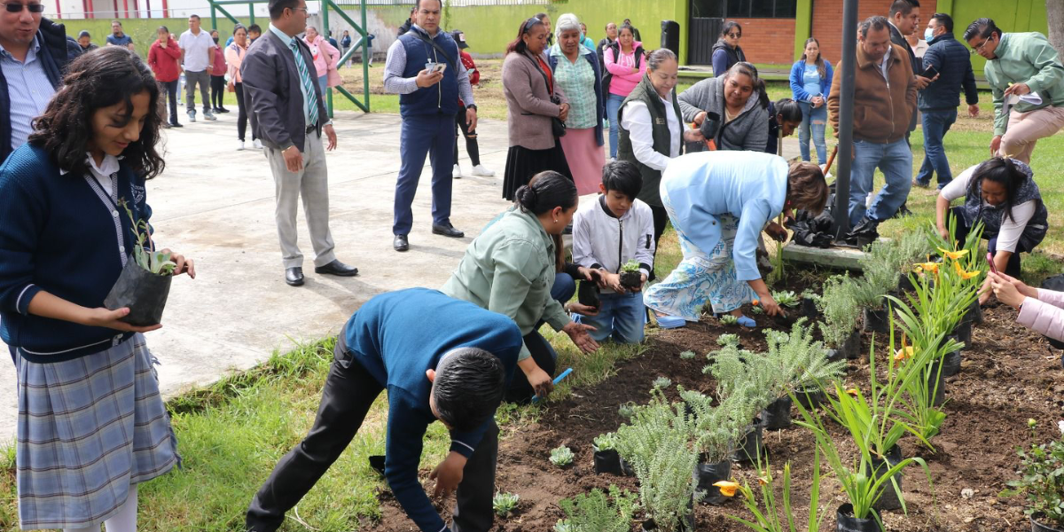 Las y los jóvenes de secundaria plantaron árboles. 