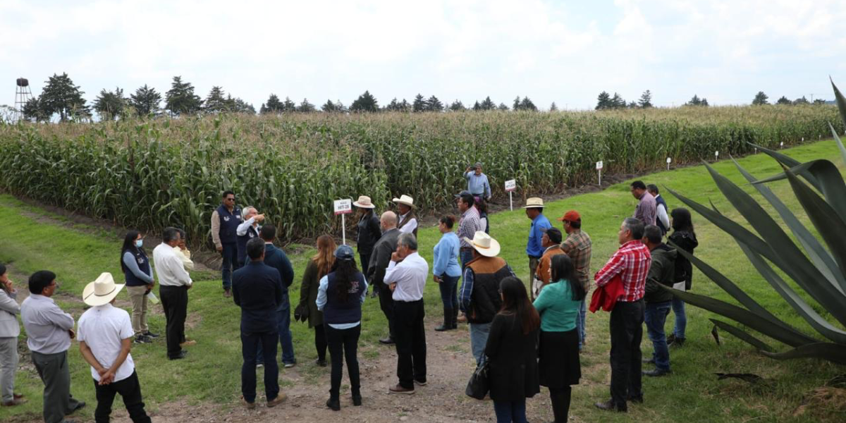 Se reunieron para informar los avances en materia de campo.