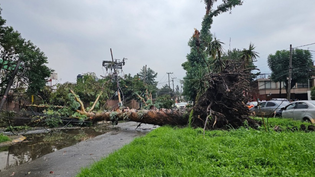 Imágenes | Continúan las afectaciones por lluvias en Naucalpan