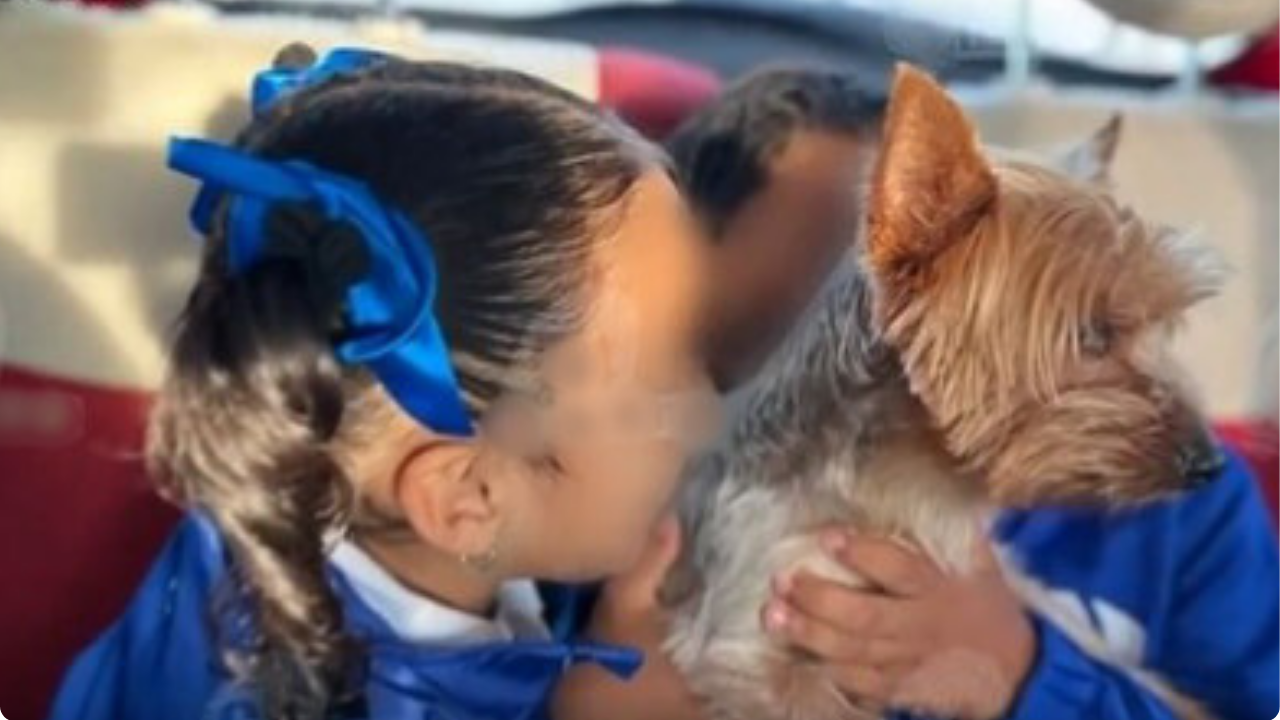 Ladrona regresa a perrito Yorkshire tras ser expuesta en redes sociales