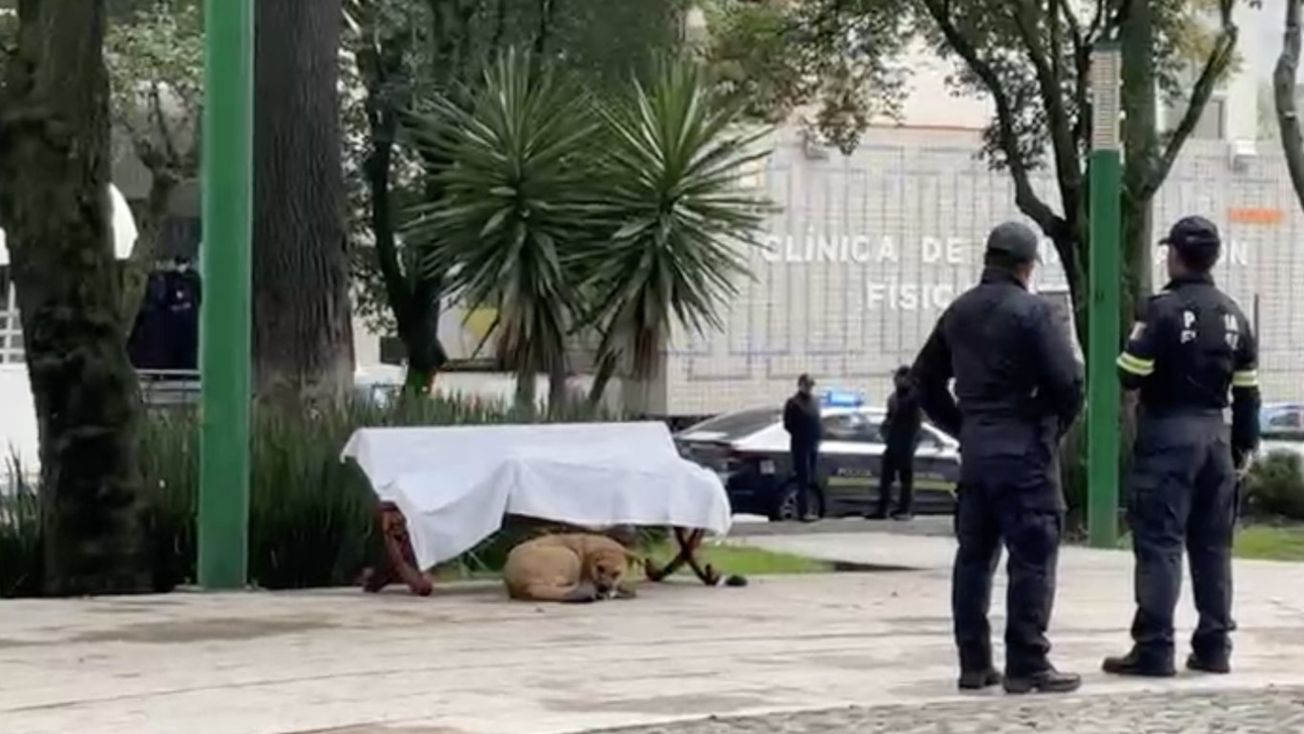 Lealtad eterna: Indigente pierde la vida en Toluca, su perrito se niega a dejarlo