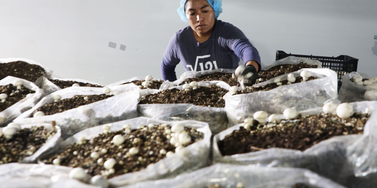 Se terminó el abandono para las mujeres del campo: EDOMÉX.