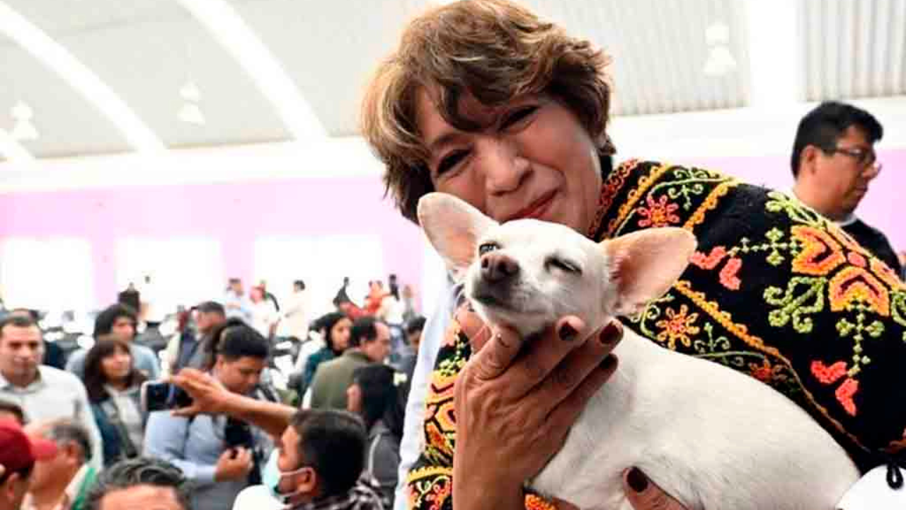 Delfina Gómez reafirma su responsabilidad con los seres sintientes