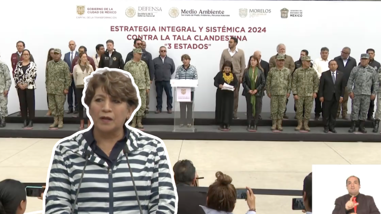 Se unen Edomex, CDMX y Morelos contra la tala de árboles