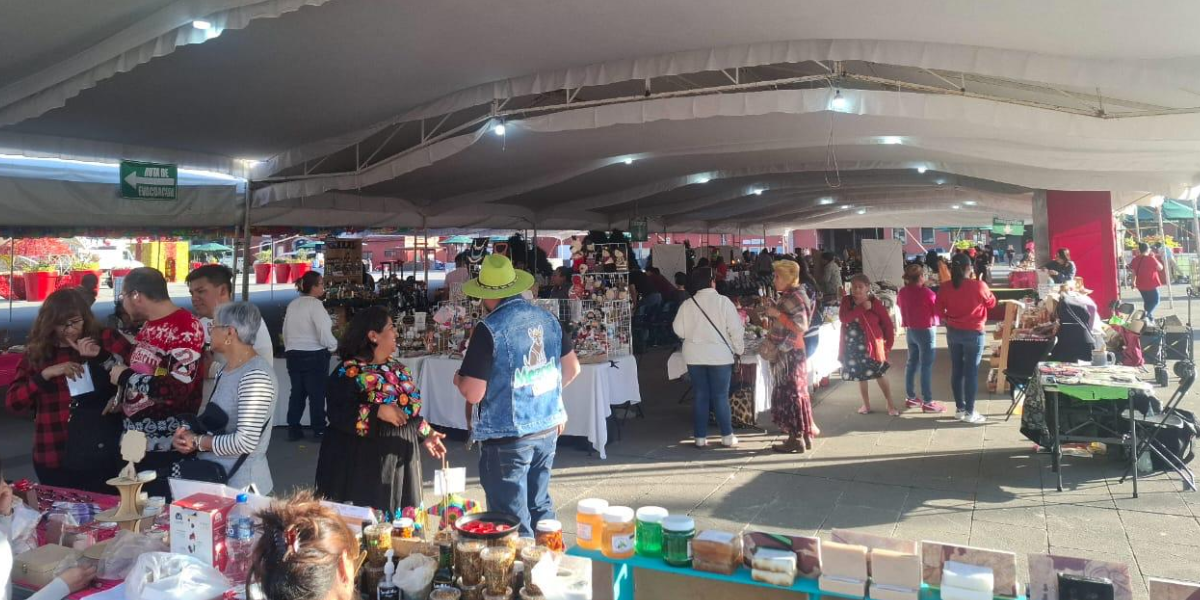 tianguis edomex