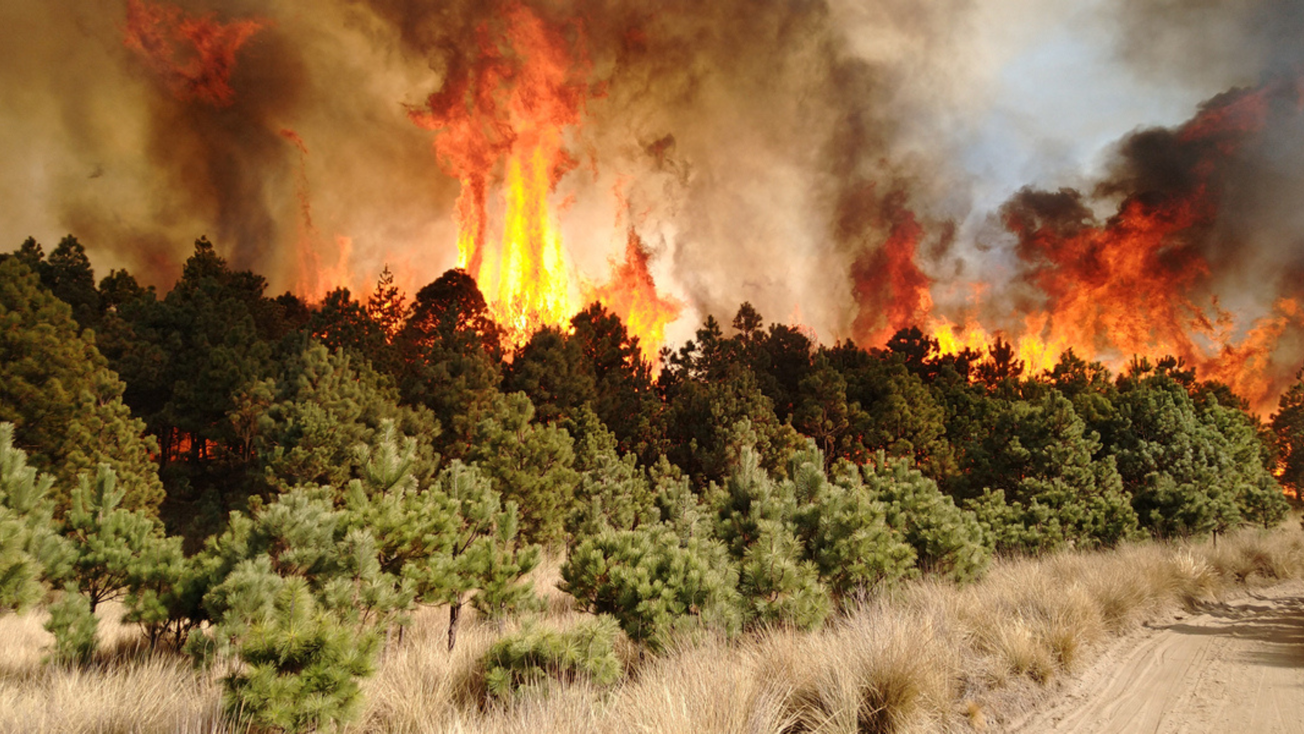 GEM listo para prevenir y atender incendios forestales