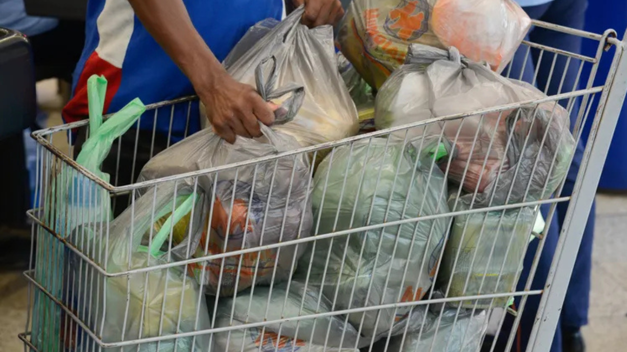 Bolsas de plástico.